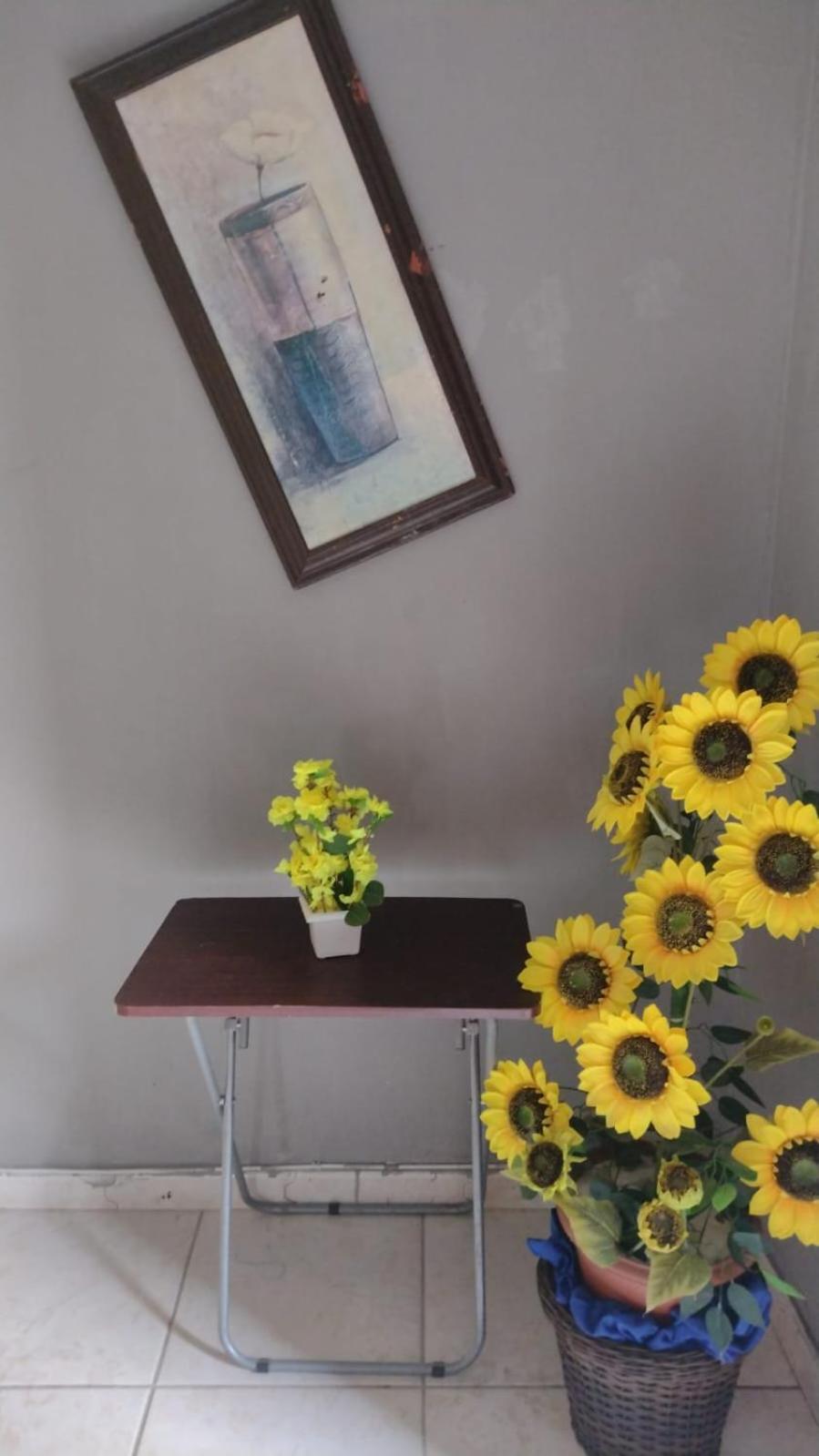 Olympios House Hostel Rio de Janeiro Luaran gambar